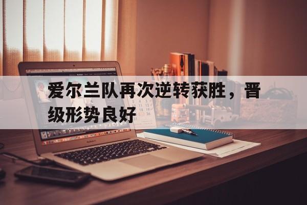 爱尔兰队再次逆转获胜，晋级形势良好